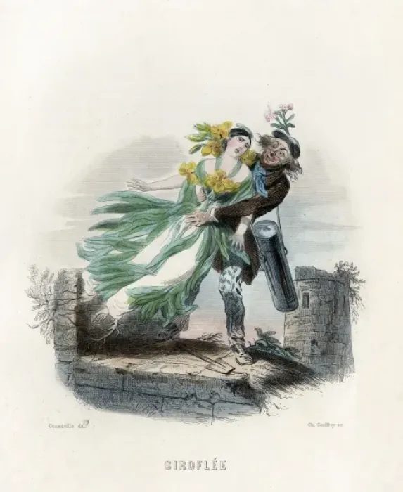 Framed Print : Grandville Wallflower Framed Print : Grandville Wallflower