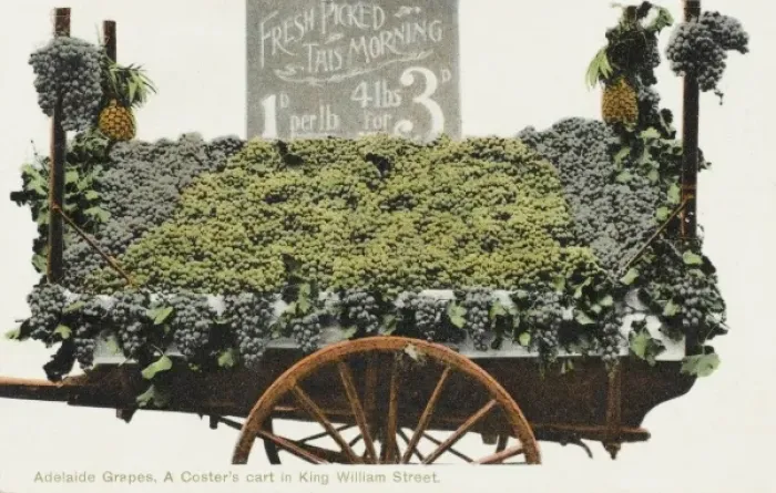 Framed Print : Grape Stall - Adelaide, Australia Framed Print : Grape Stall - Adelaide, Australia