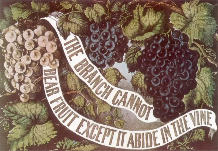 Framed Print : Grape Vines and Banner Date: 1872 Framed Print : Grape Vines and Banner Date: 1872