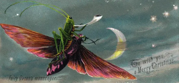 Framed Print : Grasshopper riding a moth on a Christmas card Framed Print : Grasshopper riding a moth on a Christmas card