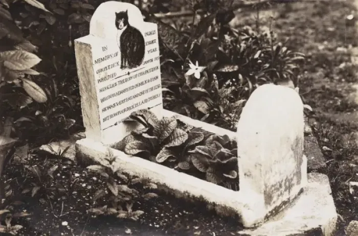 Framed Print : Grave of a pet dog Framed Print : Grave of a pet dog