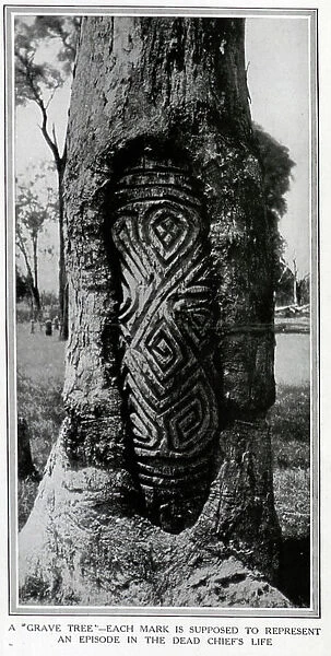 A grave tree carving