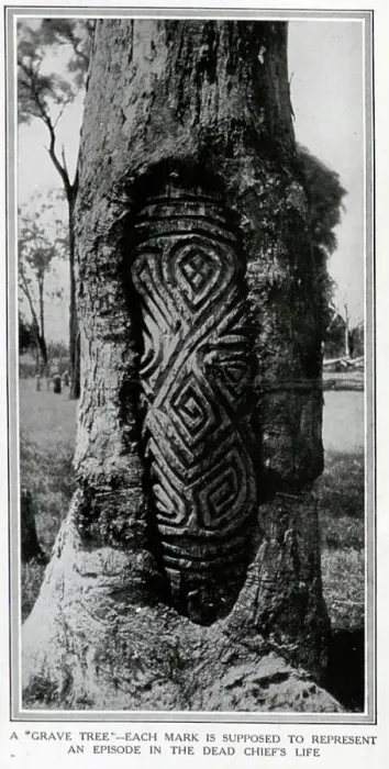 Framed Print : A grave tree carving Framed Print : A grave tree carving