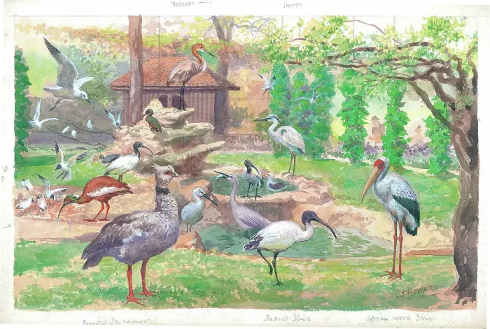 Framed Print : The Great Aviary at London Zoo Framed Print : The Great Aviary at London Zoo