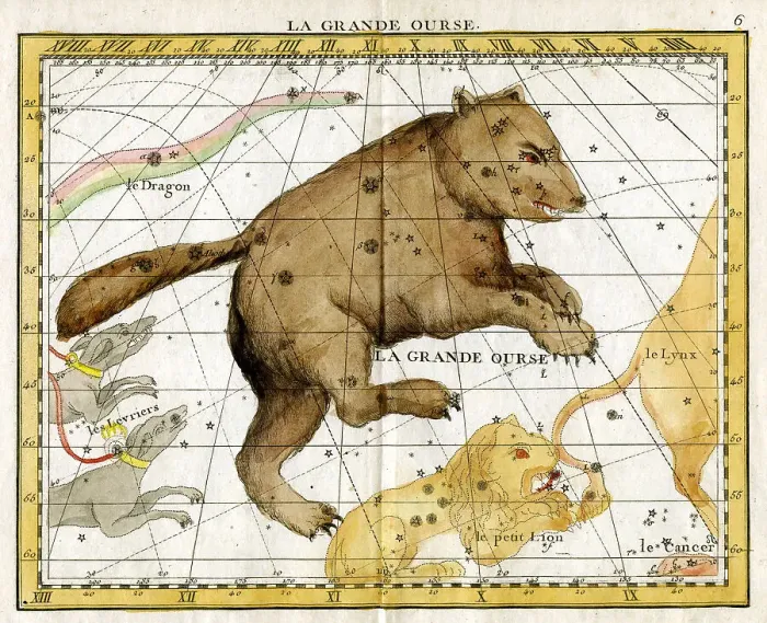 Framed Print : Great Bear Framed Print : Great Bear