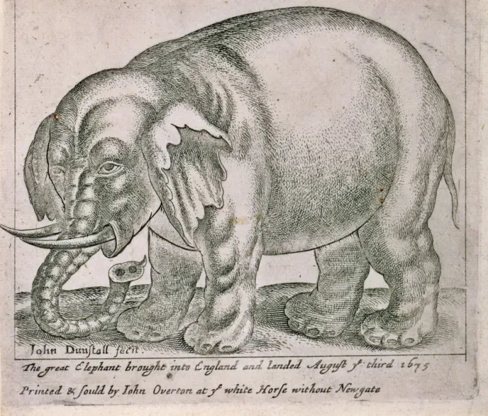 Framed Print : The great elephant brought into england and landed August ye Framed Print : The great elephant brought into england and landed August ye