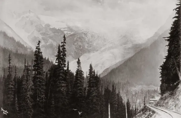 Framed Print : Great Glacier, Selkirk Mountains, Canada, c. 1890 Framed Print : Great Glacier, Selkirk Mountains, Canada, c. 1890