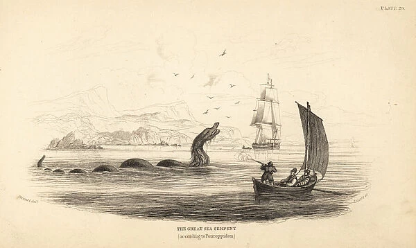 Great sea serpent shot at by the crew of Lawrence