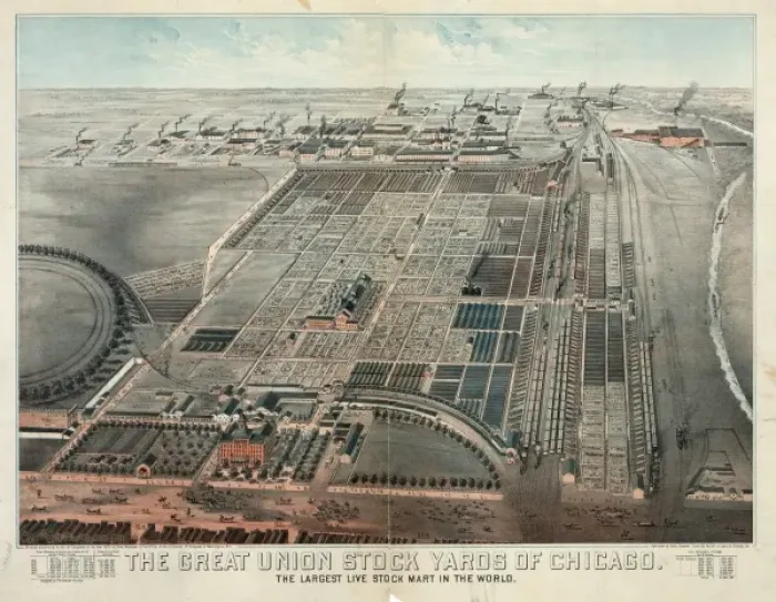 Framed Print : The Great Union Stock Yards of Chicago. The largest live sto Framed Print : The Great Union Stock Yards of Chicago. The largest live sto