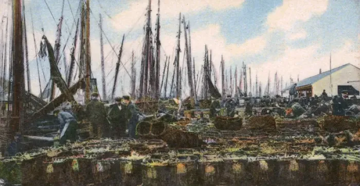 Framed Print : Great Yarmouth, Norfolk - Landing Herring at the harbour Framed Print : Great Yarmouth, Norfolk - Landing Herring at the harbour