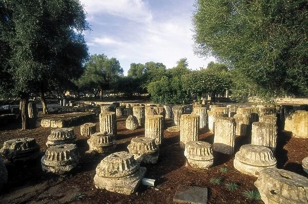 GREECE. WESTERN GREECE. ELIS. Olympia. Archaeological