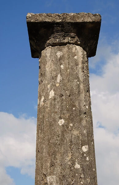 Greek Art. Sanctuary of Olympia. Doric column at the Palaest