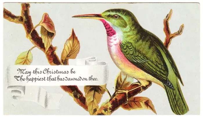Framed Print : Green bird on a Christmas card Framed Print : Green bird on a Christmas card