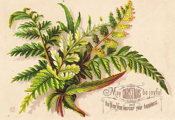 Green ferns on a Christmas and New Year card
