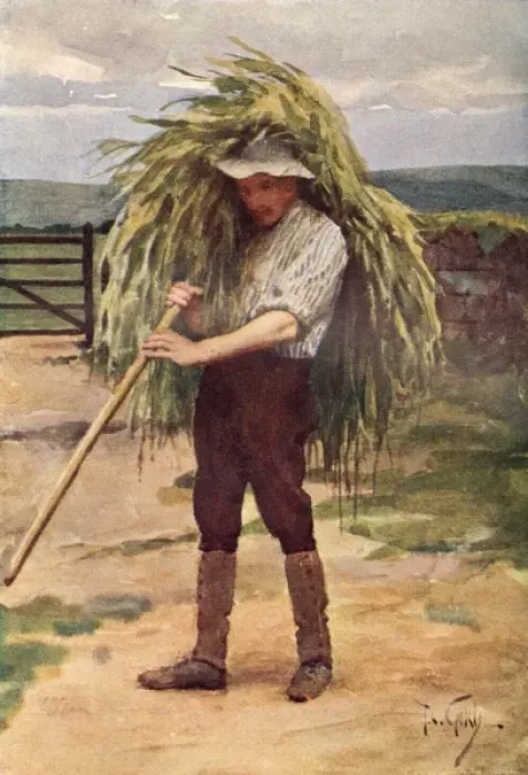 Framed Print : Green Fodder Framed Print : Green Fodder
