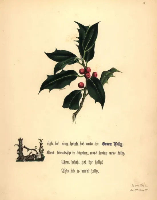 Framed Print : Green Holly (As You Like It) Framed Print : Green Holly (As You Like It)