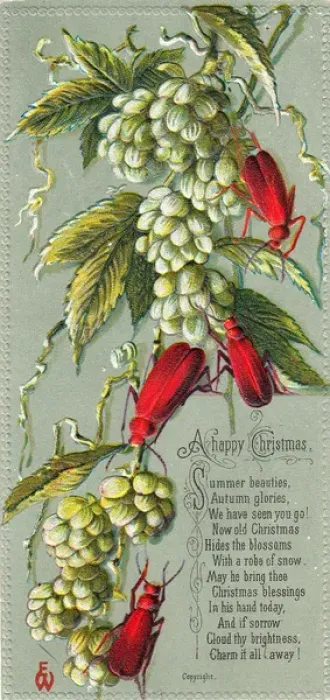 Framed Print : Green leaves and red beetles on a Christmas card Framed Print : Green leaves and red beetles on a Christmas card