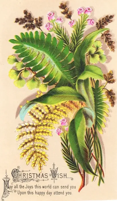 Framed Print : Green and yellow ferns on a Christmas card Framed Print : Green and yellow ferns on a Christmas card