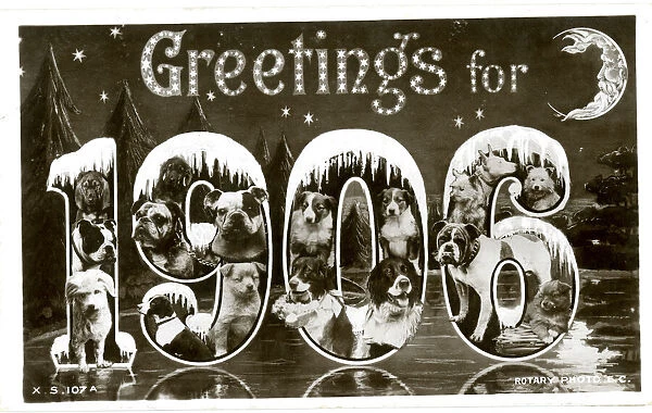 Greetings for 1906 - Dogs