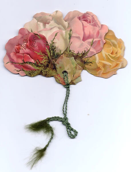 Greetings card, Moss Roses