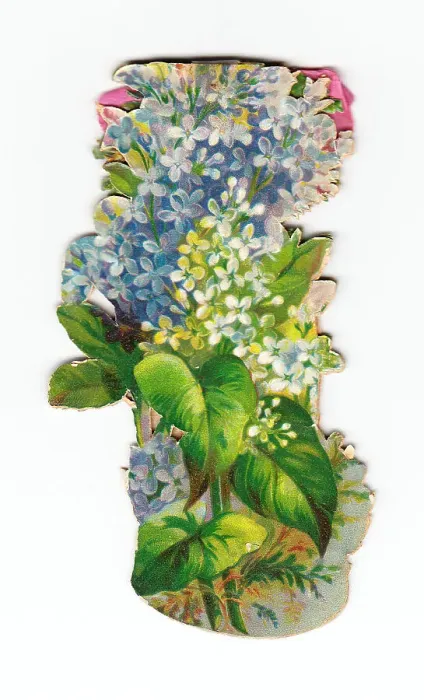Framed Print : Greetings card in the shape of a bunch of flowers Framed Print : Greetings card in the shape of a bunch of flowers