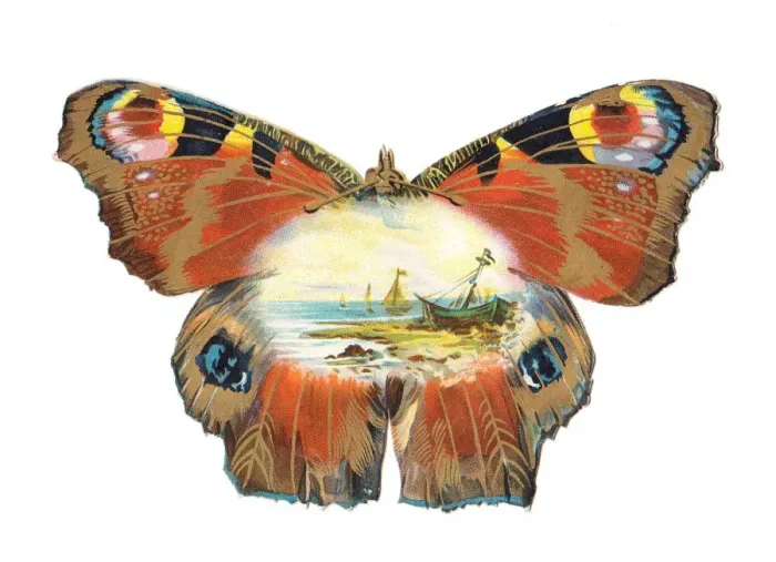 Framed Print : Greetings card in the shape of a butterfly Framed Print : Greetings card in the shape of a butterfly