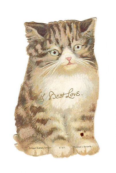 Greetings card in the shape of a cat