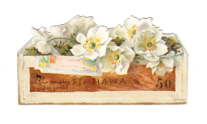 Framed Print : Greetings card in the shape of a cigar box Framed Print : Greetings card in the shape of a cigar box