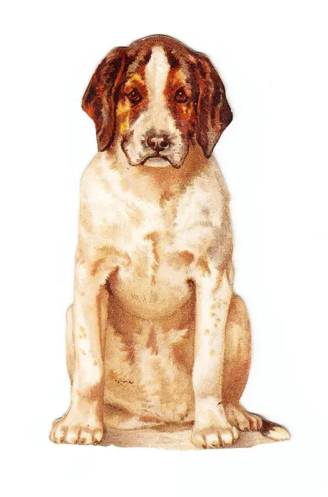 Framed Print : Greetings card in the shape of a dog Framed Print : Greetings card in the shape of a dog