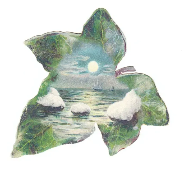 Framed Print : Greetings card in the shape of a green leaf with seascape Framed Print : Greetings card in the shape of a green leaf with seascape