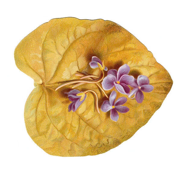 Greetings card in the shape of a leaf with purple flowers