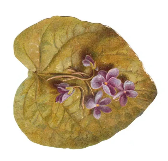 Framed Print : Greetings card in the shape of a leaf with purple flowers Framed Print : Greetings card in the shape of a leaf with purple flowers
