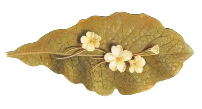 Framed Print : Greetings card in the shape of a leaf with white flowers Framed Print : Greetings card in the shape of a leaf with white flowers