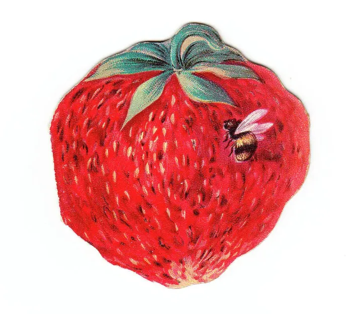 Framed Print : Greetings card in the shape of a strawberry Framed Print : Greetings card in the shape of a strawberry