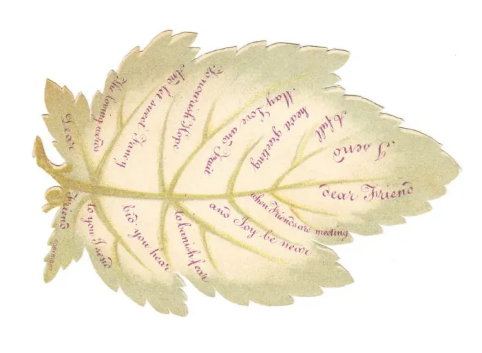 Framed Print : Greetings card in the shape of a white leaf Framed Print : Greetings card in the shape of a white leaf