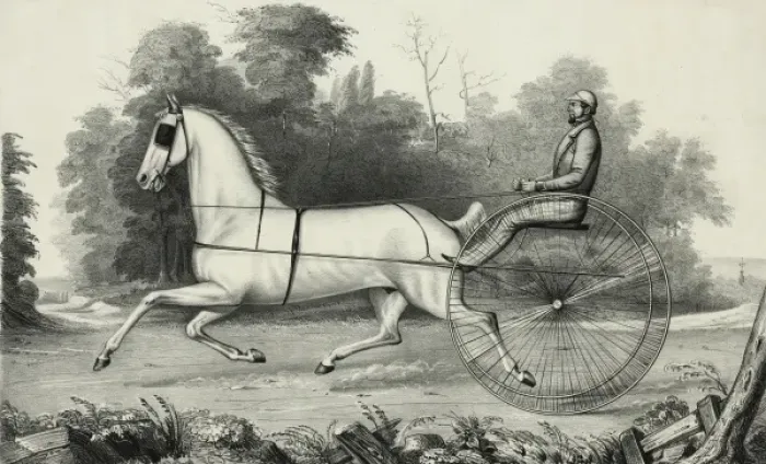 Framed Print : Grey Eagle: driven by Hiram Woodruff, Esq Framed Print : Grey Eagle: driven by Hiram Woodruff, Esq