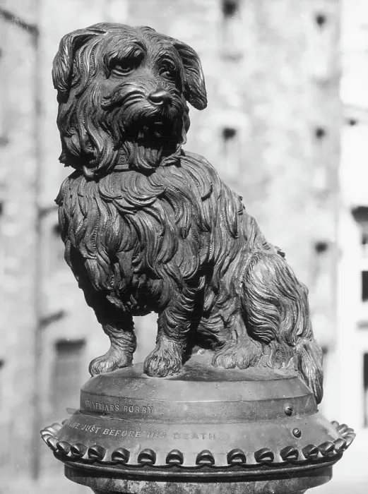 Framed Print : GREYFRIARS BOBBY Framed Print : GREYFRIARS BOBBY