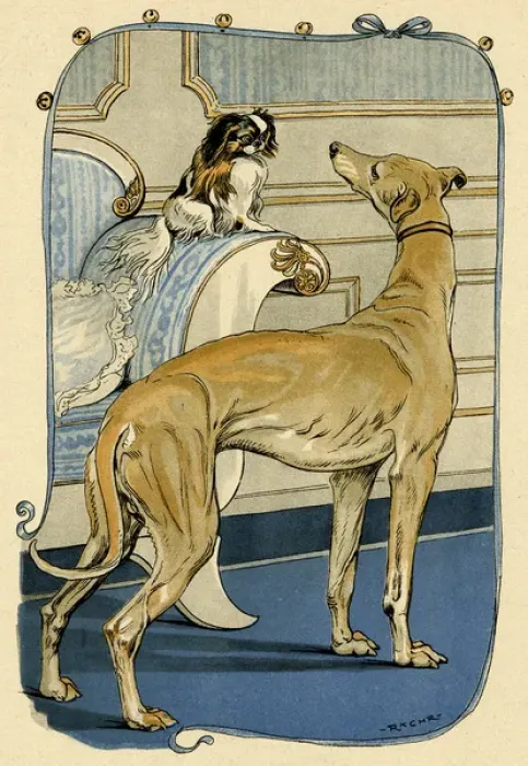 Framed Print : Greyhound and Pekingese Framed Print : Greyhound and Pekingese