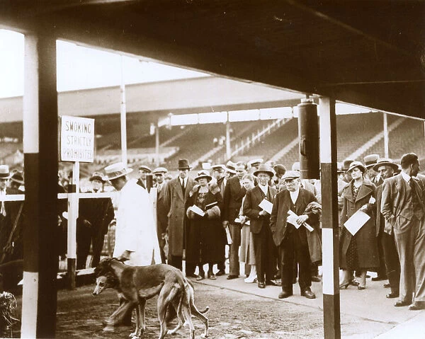 Greyhound puppies for sale, White City Stadium, West London