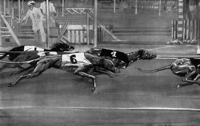 Framed Print : Greyhound racing 1927 Framed Print : Greyhound racing 1927
