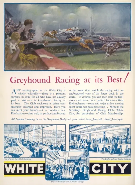 Framed Print : Greyhound Racing Advertisement Framed Print : Greyhound Racing Advertisement