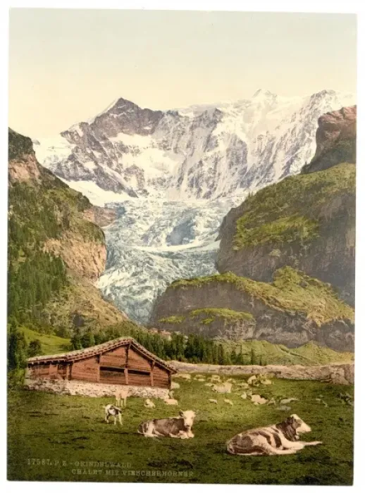 Framed Print : Grindelwald, chalet and Vischerhorn, Bernese Oberland, Switz Framed Print : Grindelwald, chalet and Vischerhorn, Bernese Oberland, Switz