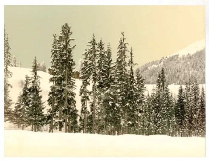 Framed Print : Grisons, Switzerland, in winter Framed Print : Grisons, Switzerland, in winter
