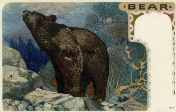 Framed Print : Grizzly bear Framed Print : Grizzly bear