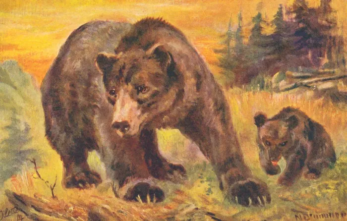 Framed Print : Grizzly Bear Framed Print : Grizzly Bear