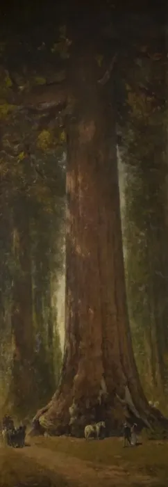 Framed Print : Grizzly Giant Tree, Mariposa Grove, Yosemite Framed Print : Grizzly Giant Tree, Mariposa Grove, Yosemite