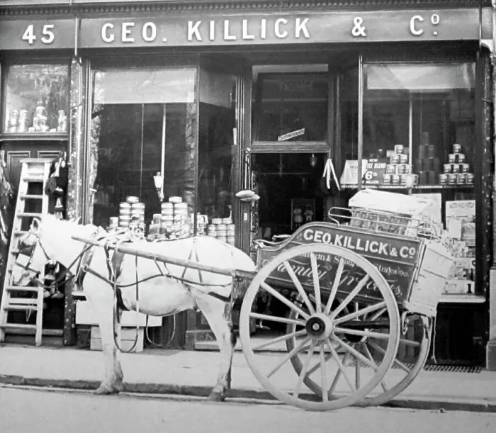 Framed Print : Grocer's shop, early 1900s Framed Print : Grocer's shop, early 1900s