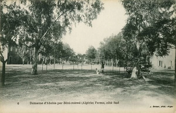 The grounds of Abziza farm. B鮩 Mered, Blida