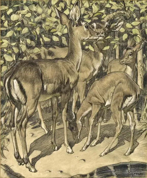 Framed Print : Group of Deer Framed Print : Group of Deer