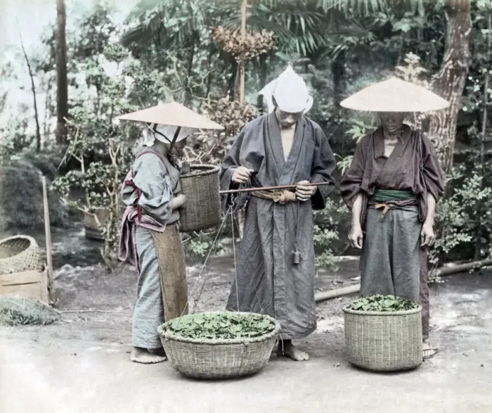 Framed Print : Group of farm workers, Japan circa 1880s. Date: circa 1880s Framed Print : Group of farm workers, Japan circa 1880s. Date: circa 1880s